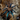 Spider with blue legs on a web, featuring the Unleashed logo.