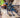 Green Bottle Blue Tarantula (GBB) Care Guide