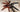 Psalmopoeus victori (Darth Maul Tarantula) Care Guide