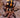 Pumpkin Patch Tarantula Care Guide