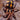 Pumpkin Patch Tarantula Care Guide