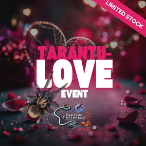 Tarantu-LOVE Event