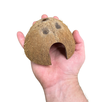 Coconut Hut