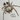 Stegodyphus lineatus 'Striped' (Sahara Velvet Spider)