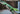 Green lizard on a wooden surface