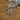 Ornithoctoninae sp. Hon-sej (Blue Blaze Tarantula) 1-1.5