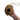 Coconut Hanging Hide