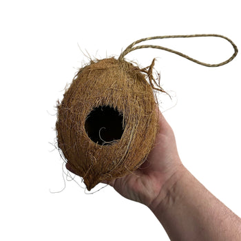 Coconut Hanging Hide