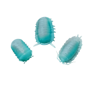 Nano Good Luck Isopod