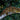 Leachanis Gecko LE070724