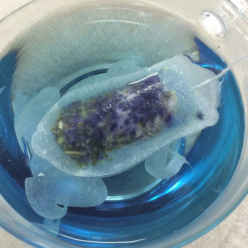 Ocean Teabag - Butterfly Pea Mint Tea - Blue Frog