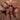 Nhandu tripepii (Brazilian Giant Blonde Tarantula) about 3.5-4"