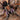 Pamphobeteus insignis (Colombian Purple Bloom Tarantula) (True Insignis)
