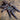 Tapinauchenius violaceus (Purple Tree Spider)