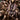 Poecilotheria hanumavilasumica  (Rameshwaram Ornamental Tarantula)