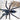 Phlogiellus johnreylazoi (Palawan Blue Tarantula)