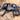 Cyriopagopus lividus, Cobalt Blue tarantula.
