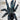 Avicularia sp. 'Metallica' M6 (Metallic Pink Toe Tarantula)