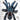 Avicularia avicularia (Guyana Pink Toe Tarantula)