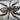 Poecilotheria tigrinawesseli (Tiger Ornamental Tarantula)