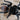 Tliltocatl vagans (Mexican Red Rump)