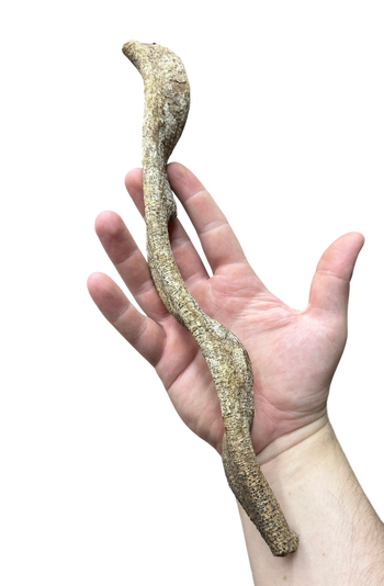 Monkey Ladder