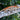 Orange Stripe Gargoyle Gecko MALE SG082025-1