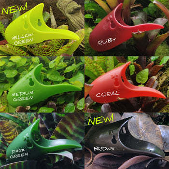 Tad Pool - Lime Green / Yellow Green