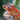Gargoyle Gecko BG062024