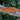 Orange Stripe Orange Base Gargoyle Gecko MALE SG082025-2