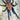 Chilobrachys sp. South Thailand tarantula.