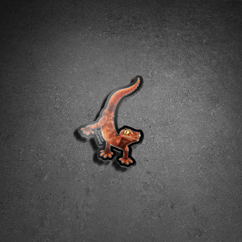 2" (Northern Spiney Tail Gecko) Strophurus ciliaris Stickers FREE AFTER $50