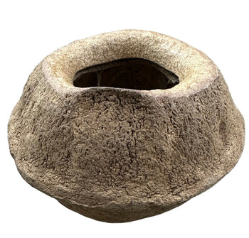 King seed pod for bioactive enclosures.