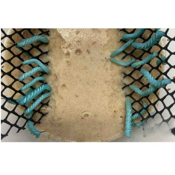Feeder Hornworms
