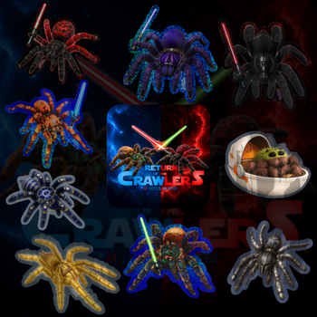 The Collector Awakens Pack – Limited Edition 10-Design Sticker Set (50% Off)
