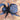 Eresus walckenaeri (Mediterranean Velvet Spider)