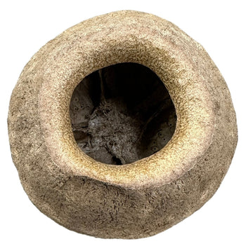 King seed pod for bioactive enclosures.