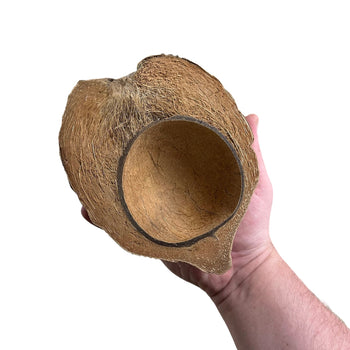 Coconut Boat