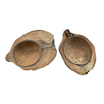 Coconut Boat