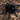 Grammostola actaeon (Black Yeti Tarantula) RARE