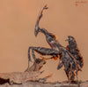 Ghost Mantis