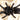 Cyriopagopus minax "Big Black' (Thai Earth Tiger Tarantula) 0.5-0.75" FREE AFTER $150 SPENT
