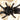 Melopoeus minax 'Big Black' (Thai Black Earth Tiger Tarantula)