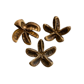 Star Pods