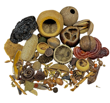 Botanical Bounty Bag - Botanical Variety Pack