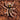 Hapalopus klein (Dwarf Pumpkin Patch Tarantula) 2" Adult Female (RARE)
