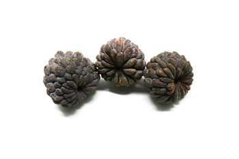 Larger Durian Pod