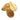 Indian Almond Leaf Litter