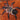 Liphistius ornatus (Ornate Armored Trapdoor Spider)
