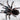 Lasiodorides polycuspulatus (Peruvian Blonde Tarantula)  0.5" FREE AFTER $250 SPENT